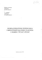 Ocjena poslovnog potencijala i mogućnosti daljnjeg ulaganja u marinu 'Punat', Punat